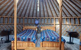 Apache Eco Camp, Terelj Nationalpark Mongolia